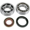Set rulmenți și garnituri HOT RODS pentru KTM ALTE K048