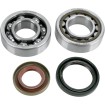 Set rulmenți și garnituri HOT RODS pentru KTM ALTE K048 Set rulmenți și garnituri HOT RODS pentru KTM ALTE K048 thumb