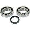 Set rulmenți și garnituri HOT RODS pentru KAWASAKI/SUZUKI ALTE K043 Set rulmenți și garnituri HOT RODS pentru KAWASAKI/SUZUKI ALTE K043 thumb