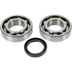 Set rulmenți și garnituri HOT RODS pentru KAWASAKI/SUZUKI ALTE K043 Set rulmenți și garnituri HOT RODS pentru KAWASAKI/SUZUKI ALTE K043