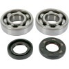 Set rulmenți și garnituri HOT RODS pentru YAMAHA ALTELE K045