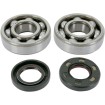 Set rulmenți și garnituri HOT RODS pentru YAMAHA ALTELE K045 Set rulmenți și garnituri HOT RODS pentru YAMAHA ALTELE K045 thumb