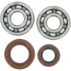Set rulmenți și garnituri HOT RODS pentru KTM ALTELE K064