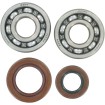 Set rulmenți și garnituri HOT RODS pentru KTM ALTELE K064 Set rulmenți și garnituri HOT RODS pentru KTM ALTELE K064 thumb