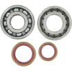 Rulment arbore cotit ALTE K065 thumb