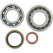 Set rulmenți și garnituri HOT RODS pentru KTM ALTE K066 thumb