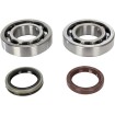 Rulment arbore cotit ALTE K074 Rulment arbore cotit ALTE K074 thumb
