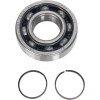 Set principal de rulmenți și garnituri HOT RODS ALTE K081