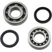 Rulment arbore cotit HONDA ALTELE K095 Rulment arbore cotit HONDA ALTELE K095 thumb