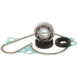 Set de reparații pentru pompă de apă ALTELE WPK0019 Set de reparații pentru pompă de apă ALTELE WPK0019