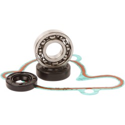 Set de reparație pentru pompă de apă ALTELE WPK0022 Set de reparație pentru pompă de apă ALTELE WPK0022