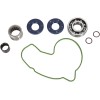 Set de reparație pompă de apă HOT RODS ALTELE WPK0060
