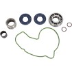 Set de reparație pompă de apă HOT RODS ALTELE WPK0060 Set de reparație pompă de apă HOT RODS ALTELE WPK0060 thumb