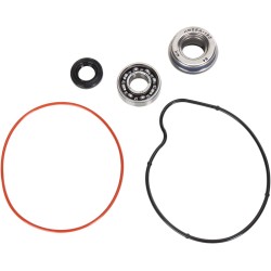 Set de reparație pentru pompă de apă HOT RODS ALTELE WPK0062