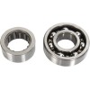 Set rulmenți pentru arborele de echilibrare HOT RODS pentru HONDA ALTE BBK0005