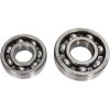 Set de rulmenți pentru arbore de echilibrare HOT RODS YAMAHA ALTE BBK0009