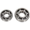Set de rulmenți pentru arbore de echilibrare HOT RODS YAMAHA ALTE BBK0009 Set de rulmenți pentru arbore de echilibrare HOT RODS YAMAHA ALTE BBK0009 thumb