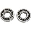 Set rulmenți pentru arbore de echilibrare ALTE BBK0020 Set rulmenți pentru arbore de echilibrare ALTE BBK0020 thumb