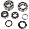 Set rulmenți pentru transmisie HOT RODS pentru HONDA ALTELE TBK0001