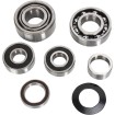 Set rulmenți pentru transmisie HOT RODS pentru HONDA ALTELE TBK0001 thumb