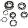 Set rulmenți pentru transmisie HOT RODS SUZUKI ALTELE TBK0056