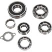 Set rulmenți pentru transmisie HOT RODS SUZUKI ALTELE TBK0056 Set rulmenți pentru transmisie HOT RODS SUZUKI ALTELE TBK0056 thumb