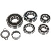 Set rulmenți pentru transmisie HOT RODS SUZUKI ALTELE TBK0057