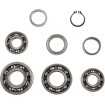 Set rulmenți pentru transmisie ALTELE TBK0054 Set rulmenți pentru transmisie ALTELE TBK0054 thumb