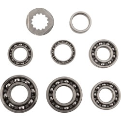 Set rulmenți pentru transmisie ALTELE TBK0068 Set rulmenți pentru transmisie ALTELE TBK0068