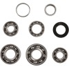 Set rulmenți pentru transmisie HOT RODS pentru HONDA ALTELE TBK0010
