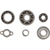 Set rulmenți de transmisie HOT RODS pentru HONDA ALTE TBK0083