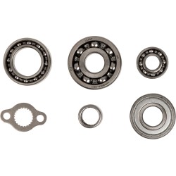 Set rulmenți de transmisie HOT RODS pentru HONDA ALTE TBK0083