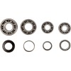 Set rulmenți de transmisie HOT RODS pentru HONDA ALTE TBK0085