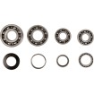 Set rulmenți de transmisie HOT RODS pentru HONDA ALTE TBK0085 Set rulmenți de transmisie HOT RODS pentru HONDA ALTE TBK0085 thumb
