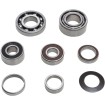 Set rulmenți pentru transmisie ALTE TBK0096 Set rulmenți pentru transmisie ALTE TBK0096 thumb