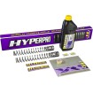 Set arcuri față HARLEY DAVIDSON ALTELE SP-HD13-SSA005 Set arcuri față HARLEY DAVIDSON ALTELE SP-HD13-SSA005 thumb