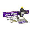 Set arcuri pentru furca față HONDA ALTELE SP-HO12-SSA002 Set arcuri pentru furca față HONDA ALTELE SP-HO12-SSA002 thumb