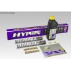 Arcuri pentru furcă H-D FLHX SE/FLTRX ALTELE SP-HD19-SSA002 Arcuri pentru furcă H-D FLHX SE/FLTRX ALTELE SP-HD19-SSA002 thumb