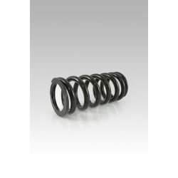 Set amortizor spate cu arc pentru coborâre -25 mm ALTELE SP-BM08-SSB018B Set amortizor spate cu arc pentru coborâre -25 mm ALTELE SP-BM08-SSB018B