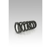 Set amortizor spate cu arc -30 mm ALTE SP-HO07-SSB025B