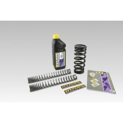 Set de coborâre SPR COMBI -40 MM HONDA ALTELE SP-HO02-SSK022B Set de coborâre SPR COMBI -40 MM HONDA ALTELE SP-HO02-SSK022B