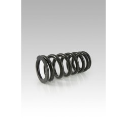 Arcuri spate pentru amortizoare INDIAN SCOUT BOBBER ALTELE SP-IN12-SSO002B