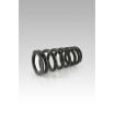 Set arc amortizor spate scăzut - 25MM KA ALTELE SP-KA06-SSB045B Set arc amortizor spate scăzut - 25MM KA ALTELE SP-KA06-SSB045B thumb