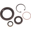 Set de semeringuri pentru transmisie principală JAMES GASKETS JGI-12074-K Set de semeringuri pentru transmisie principală JAMES GASKETS JGI-12074-K thumb