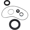 Set de semeringuri pentru transmisie pinion JAMES GASKETS JGI-12067-AK