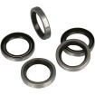 Semering arbore cu came metalic O.D JAMES GASKETS JGI-83162-51 Semering arbore cu came metalic O.D JAMES GASKETS JGI-83162-51 thumb