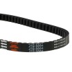 Curea de transmisie premium JT JTB8004 Curea de transmisie premium JT JTB8004 thumb