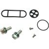 Set de reparație pentru robinet de combustibil K&S TECHNOLOGIES 55-2002