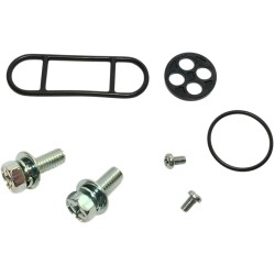 Set de reparație pentru robinet de combustibil K&S TECHNOLOGIES 55-2002 Set de reparație pentru robinet de combustibil K&S TECHNOLOGIES 55-2002