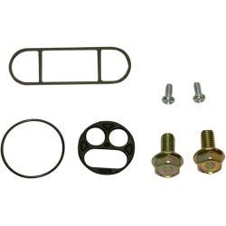 Set de reparație pentru robinet de combustibil K&S TECHNOLOGIES 55-3004 Set de reparație pentru robinet de combustibil K&S TECHNOLOGIES 55-3004